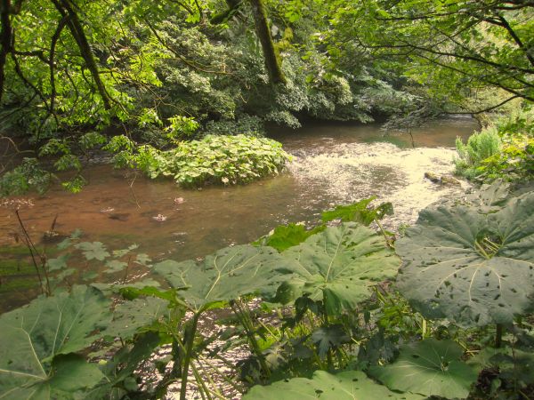river